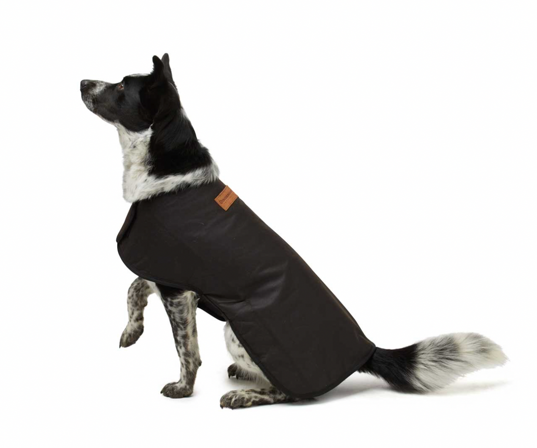 What makes our dog coats great?