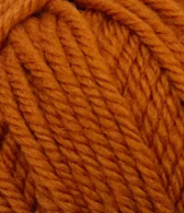 Ashley 8ply Merino Wool - Autumn - The Golden Apple NZ